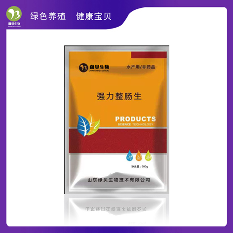 ǿ��������