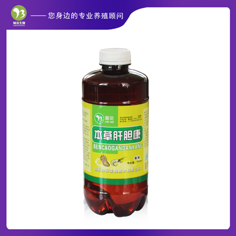 ���ݸε���