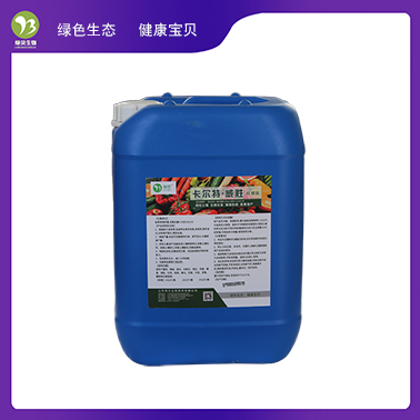 ������ ��ʤ�������ģ�