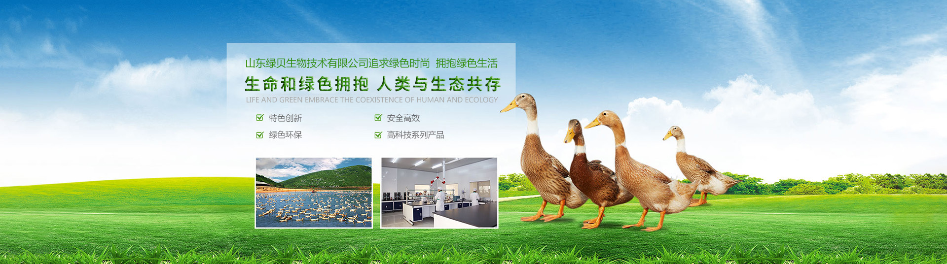 ɽ���̱����＼�����޹�˾